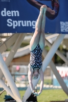 Thumbnail - Girls - Diving Sports - 2022 - Österr. Staatsmeisterschaft - Participants 03049_14784.jpg