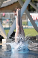 Thumbnail - Girls A - Olivia Meusburger - Diving Sports - 2022 - Österr. Staatsmeisterschaft - Participants - Girls 03049_14785.jpg
