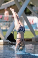 Thumbnail - Girls - Diving Sports - 2022 - Österr. Staatsmeisterschaft - Participants 03049_14836.jpg