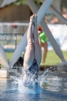 Thumbnail - Girls - Diving Sports - 2022 - Österr. Staatsmeisterschaft - Participants 03049_14865.jpg