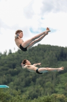 Thumbnail - Boys - Wasserspringen - 2022 - International Diving Meet Graz - Synchron 03056_05726.jpg