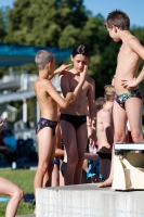 Thumbnail - General Photos - Tuffi Sport - 2022 - International Diving Meet Graz 03056_06657.jpg
