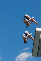 Thumbnail - Synchronised diving - Tuffi Sport - 2022 - International Diving Meet Graz 03056_07141.jpg