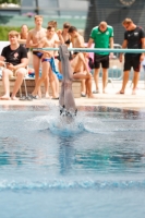 Thumbnail - Boys C - Julius - Plongeon - 2022 - International Diving Meet Graz - Participants - Germany 03056_10767.jpg