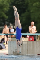 Thumbnail - Girls C - Luise - Tuffi Sport - 2022 - International Diving Meet Graz - Participants - Germany 03056_11429.jpg