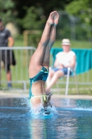 Thumbnail - Girls C - Sylvana - Tuffi Sport - 2022 - International Diving Meet Graz - Participants - Germany 03056_12452.jpg