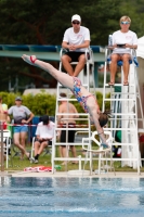 Thumbnail - Girls C - Katharina - Прыжки в воду - 2022 - International Diving Meet Graz - Participants - Germany 03056_12663.jpg