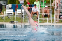 Thumbnail - Girls C - Aliana - Прыжки в воду - 2022 - International Diving Meet Graz - Participants - Germany 03056_12740.jpg