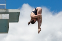 Thumbnail - Girls A - Hanna Held - Wasserspringen - 2022 - International Diving Meet Graz - Teilnehmer - Deutschland 03056_13144.jpg