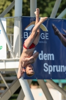 Thumbnail - Boys C - Anton - Wasserspringen - 2022 - International Diving Meet Graz - Teilnehmer - Deutschland 03056_14241.jpg