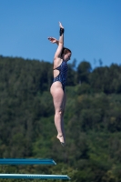 Thumbnail - Girls A - Hanna Held - Прыжки в воду - 2022 - International Diving Meet Graz - Participants - Germany 03056_14745.jpg