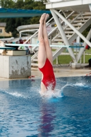 Thumbnail - Norway - Tuffi Sport - 2022 - International Diving Meet Graz - Participants 03056_17647.jpg