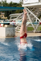 Thumbnail - Norway - Прыжки в воду - 2022 - International Diving Meet Graz - Participants 03056_17735.jpg