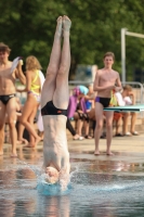 Thumbnail - Norway - Plongeon - 2022 - International Diving Meet Graz - Participants 03056_19160.jpg