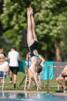 Thumbnail - Norway - Plongeon - 2022 - International Diving Meet Graz - Participants 03056_19302.jpg