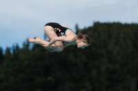 Thumbnail - Norway - Tuffi Sport - 2022 - International Diving Meet Graz - Participants 03056_19305.jpg