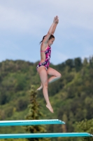 Thumbnail - Norway - Прыжки в воду - 2022 - International Diving Meet Graz - Participants 03056_19349.jpg