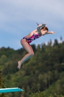 Thumbnail - Norwegen - Wasserspringen - 2022 - International Diving Meet Graz - Teilnehmer 03056_19355.jpg