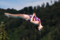 Thumbnail - Norway - Plongeon - 2022 - International Diving Meet Graz - Participants 03056_19438.jpg