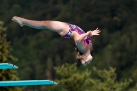 Thumbnail - Girls C - Hermine - Tuffi Sport - 2022 - International Diving Meet Graz - Participants - Norway 03056_19439.jpg