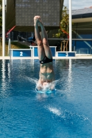 Thumbnail - Norway - Plongeon - 2022 - International Diving Meet Graz - Participants 03056_21167.jpg