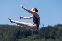 Thumbnail - Women - Synne Pedersen Drægni - Wasserspringen - 2022 - International Diving Meet Graz - Teilnehmer - Norwegen 03056_21981.jpg