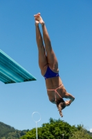 Thumbnail - Women - Tonje Monsen Welander - Wasserspringen - 2022 - International Diving Meet Graz - Teilnehmer - Norwegen 03056_22208.jpg