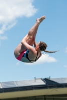 Thumbnail - Norway - Прыжки в воду - 2022 - International Diving Meet Graz - Participants 03056_22383.jpg