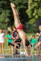 Thumbnail - Boys B - Samuel Platt - Wasserspringen - 2022 - International Diving Meet Graz - Teilnehmer - Österreich 03056_24248.jpg