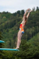 Thumbnail - Girls C - Valerie - Wasserspringen - 2022 - International Diving Meet Graz - Teilnehmer - Österreich 03056_25437.jpg