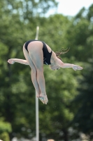 Thumbnail - Girls B - Emilie Schnur - Diving Sports - 2022 - International Diving Meet Graz - Participants - Austria 03056_26916.jpg