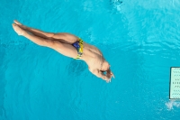 Thumbnail - Boys A - Nikola Parausic - Прыжки в воду - 2022 - International Diving Meet Graz - Participants - Serbia 03056_32700.jpg