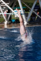 Thumbnail - Boys C - Bogdan - Прыжки в воду - 2022 - International Diving Meet Graz - Participants - Serbia 03056_32958.jpg