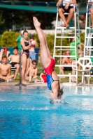Thumbnail - Girls C - Tara - Wasserspringen - 2022 - International Diving Meet Graz - Teilnehmer - Serbien 03056_33009.jpg