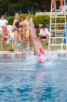 Thumbnail - Girls C - Tara - Wasserspringen - 2022 - International Diving Meet Graz - Teilnehmer - Serbien 03056_33418.jpg
