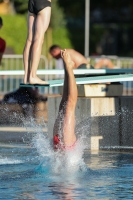 Thumbnail - Boys B - Nico Julmy - Прыжки в воду - 2022 - International Diving Meet Graz - Participants - Switzerland 03056_34777.jpg