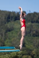 Thumbnail - Girls A - Laina Remund - Прыжки в воду - 2022 - International Diving Meet Graz - Participants - Switzerland 03056_35583.jpg