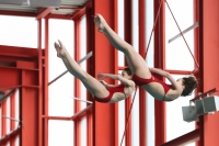 Thumbnail - Synchronized Diving - Tuffi Sport - 2023 - ÖHM Wien 03058_11381.jpg