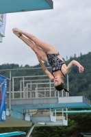 Thumbnail - 2023 - International Diving Meet Graz - Прыжки в воду 03060_01717.jpg