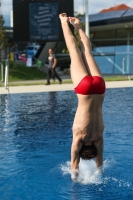 Thumbnail - 2023 - International Diving Meet Graz - Plongeon 03060_03290.jpg