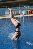 Thumbnail - 2023 - International Diving Meet Graz - Tuffi Sport 03060_03682.jpg