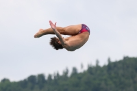 Thumbnail - 2023 - International Diving Meet Graz - Diving Sports 03060_03955.jpg