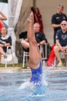 Thumbnail - 2023 - International Diving Meet Graz - Wasserspringen 03060_04827.jpg