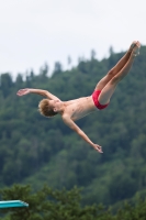 Thumbnail - 2023 - International Diving Meet Graz - Wasserspringen 03060_05009.jpg