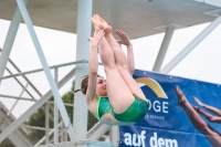 Thumbnail - 2023 - International Diving Meet Graz - Wasserspringen 03060_05559.jpg