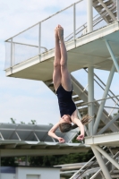 Thumbnail - 2023 - International Diving Meet Graz - Plongeon 03060_06194.jpg