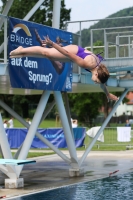 Thumbnail - 2023 - International Diving Meet Graz - Tuffi Sport 03060_06279.jpg