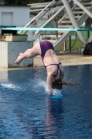 Thumbnail - 2023 - International Diving Meet Graz - Wasserspringen 03060_06321.jpg