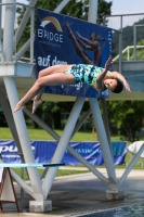 Thumbnail - 2023 - International Diving Meet Graz - Plongeon 03060_06474.jpg