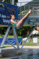 Thumbnail - 2023 - International Diving Meet Graz - Plongeon 03060_06477.jpg